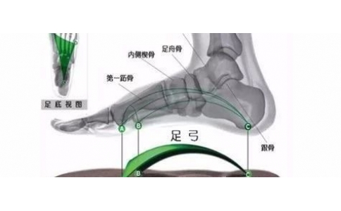 矯形鞋墊為什么可以緩解足部疾??？